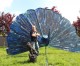 Solingen: Südpark öffnete die Atelliers