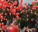 Solingen: Drachenflieger-Kinder beim Kinderrechte-Preis geehrt