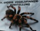 Vom großen krabbeln und knabbern