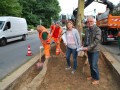 Neues Grün an der Kreuzung Schlagbaum